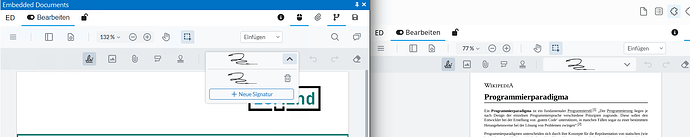Rich- und Web-Client